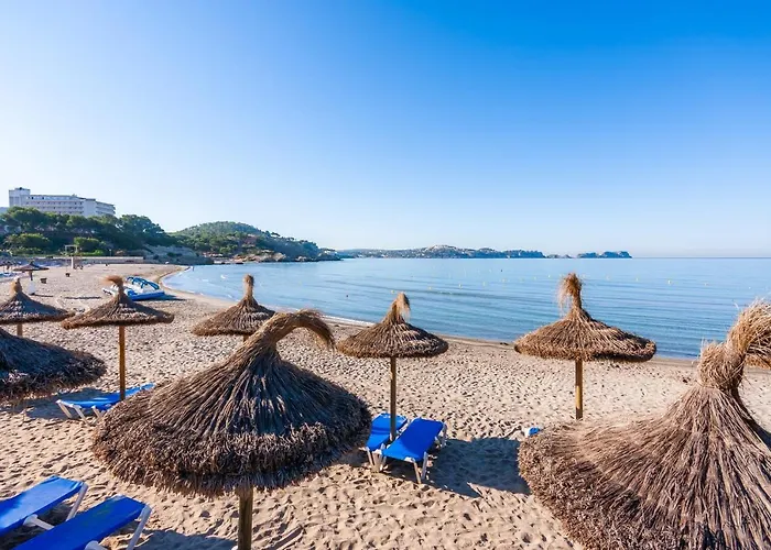 Apto Con Terraza 1 Lejlighed Peguera